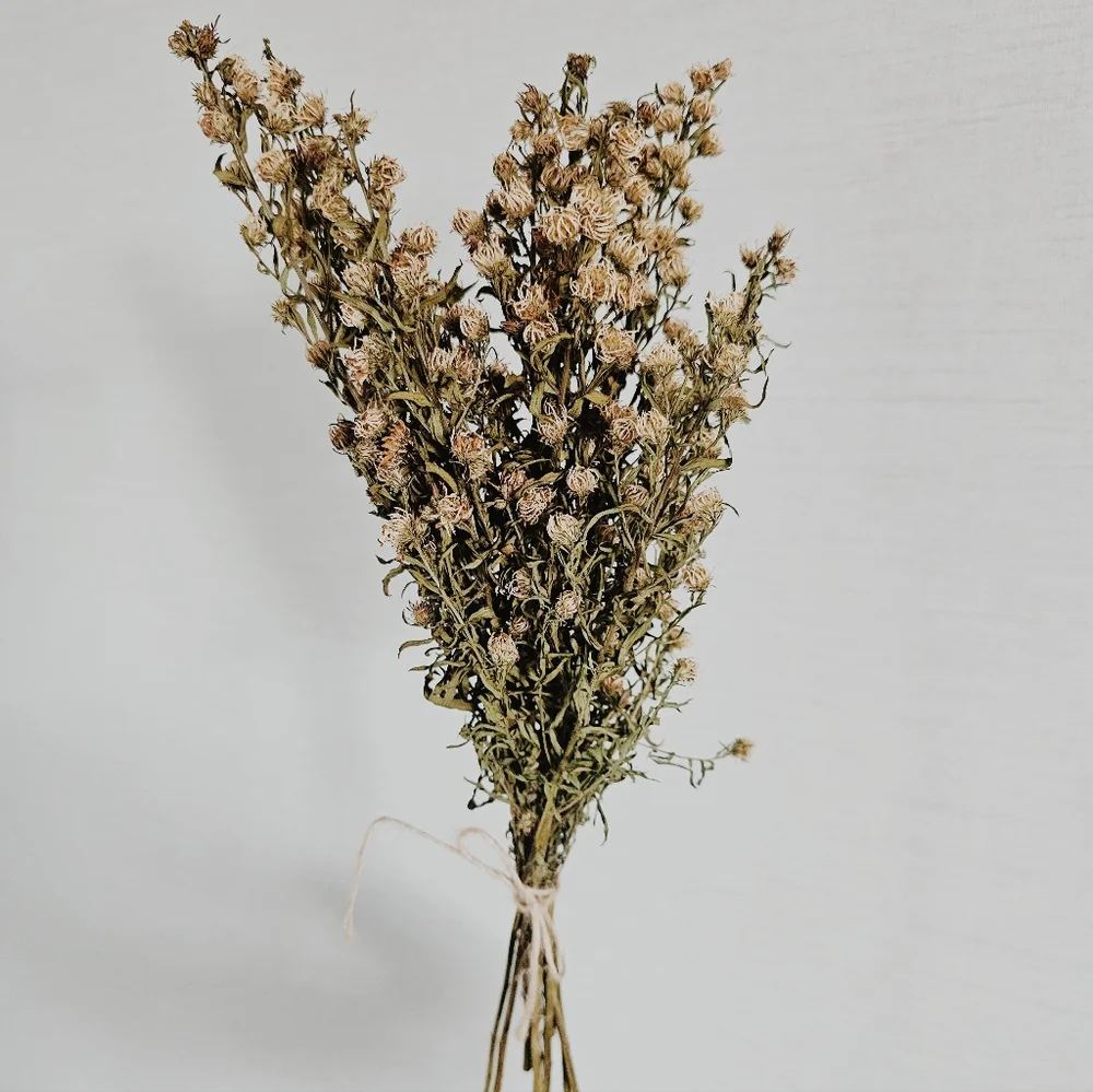 Handmade Bundle Of Naturally Dried Florals - Green, Brown & Cream - Picture 1 of 4